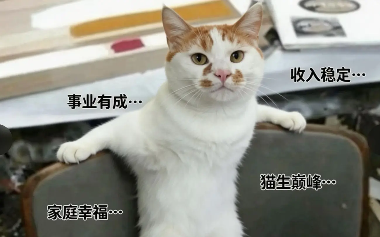 春招与实习 & 迷茫与困惑 & AI 与远方