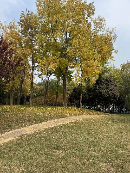 秋天 🍂