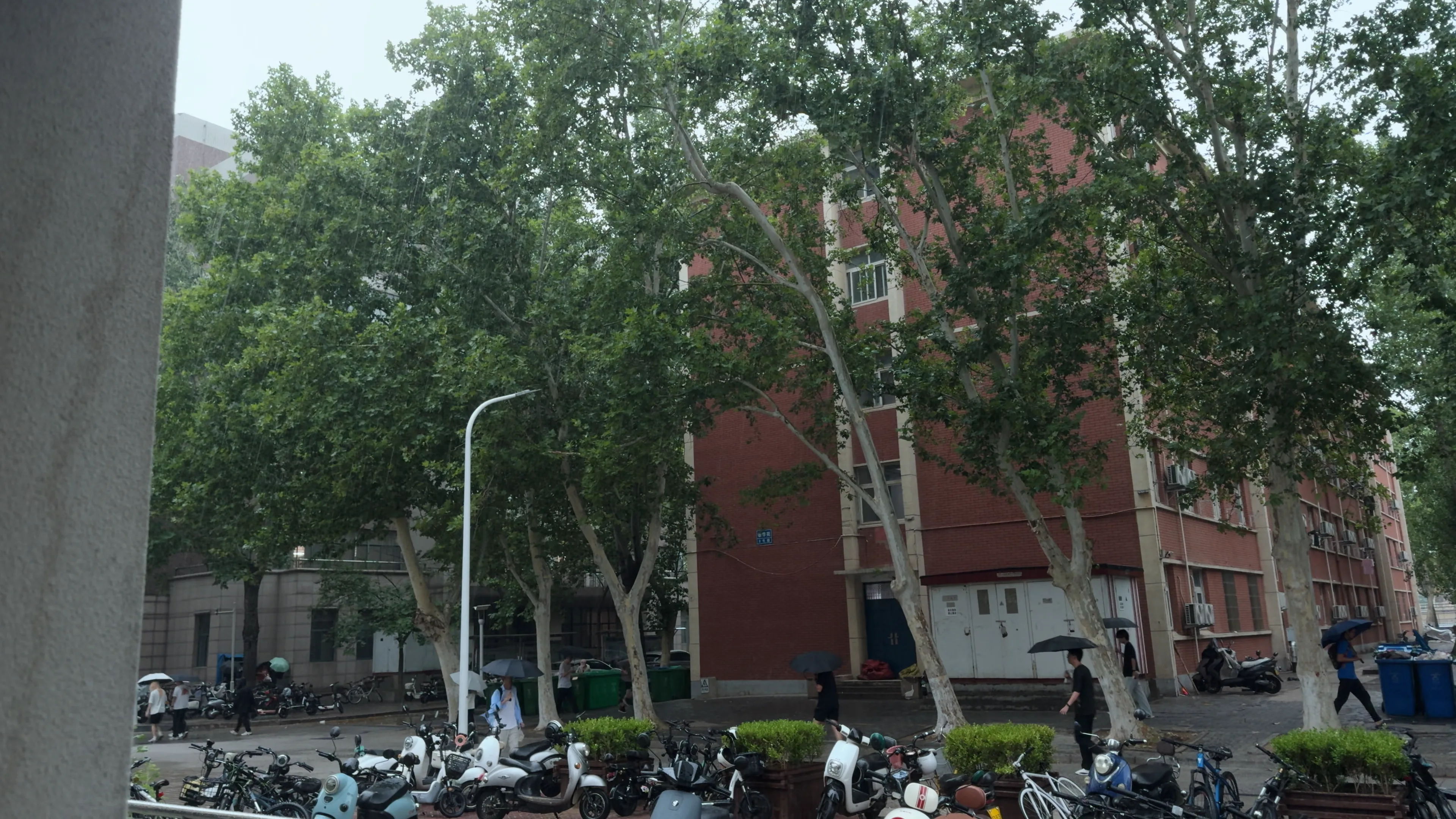 🌧️ 细雨