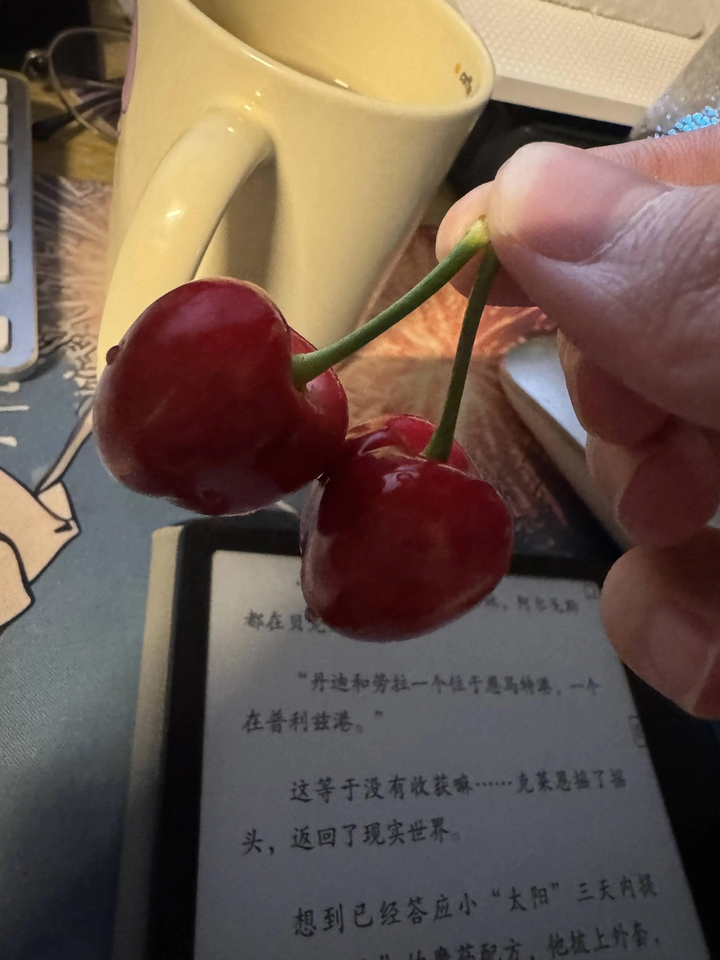 V站抽奖中了两斤樱桃