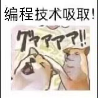 IMG_7141.jpeg